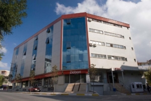 Kaya Nakış